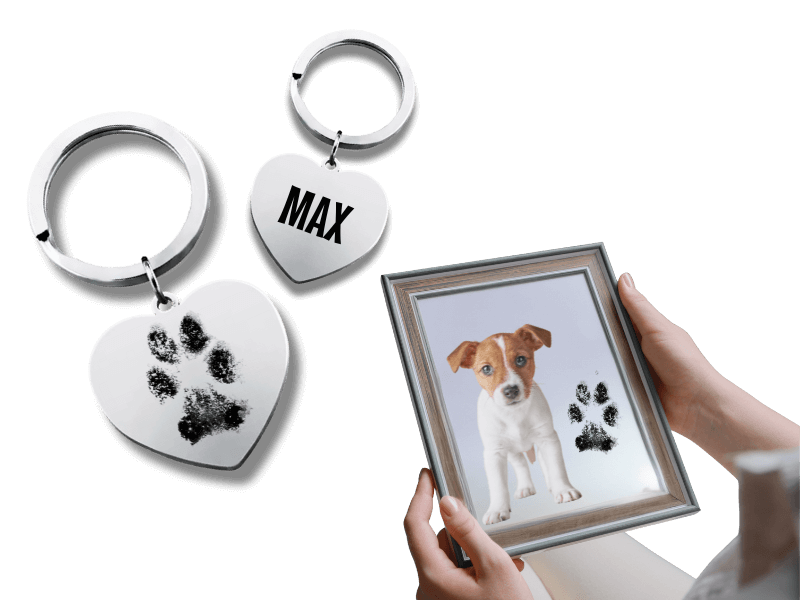 Andenken Für Die Los Der Hund | Sie Linke Pfotenabdrücke